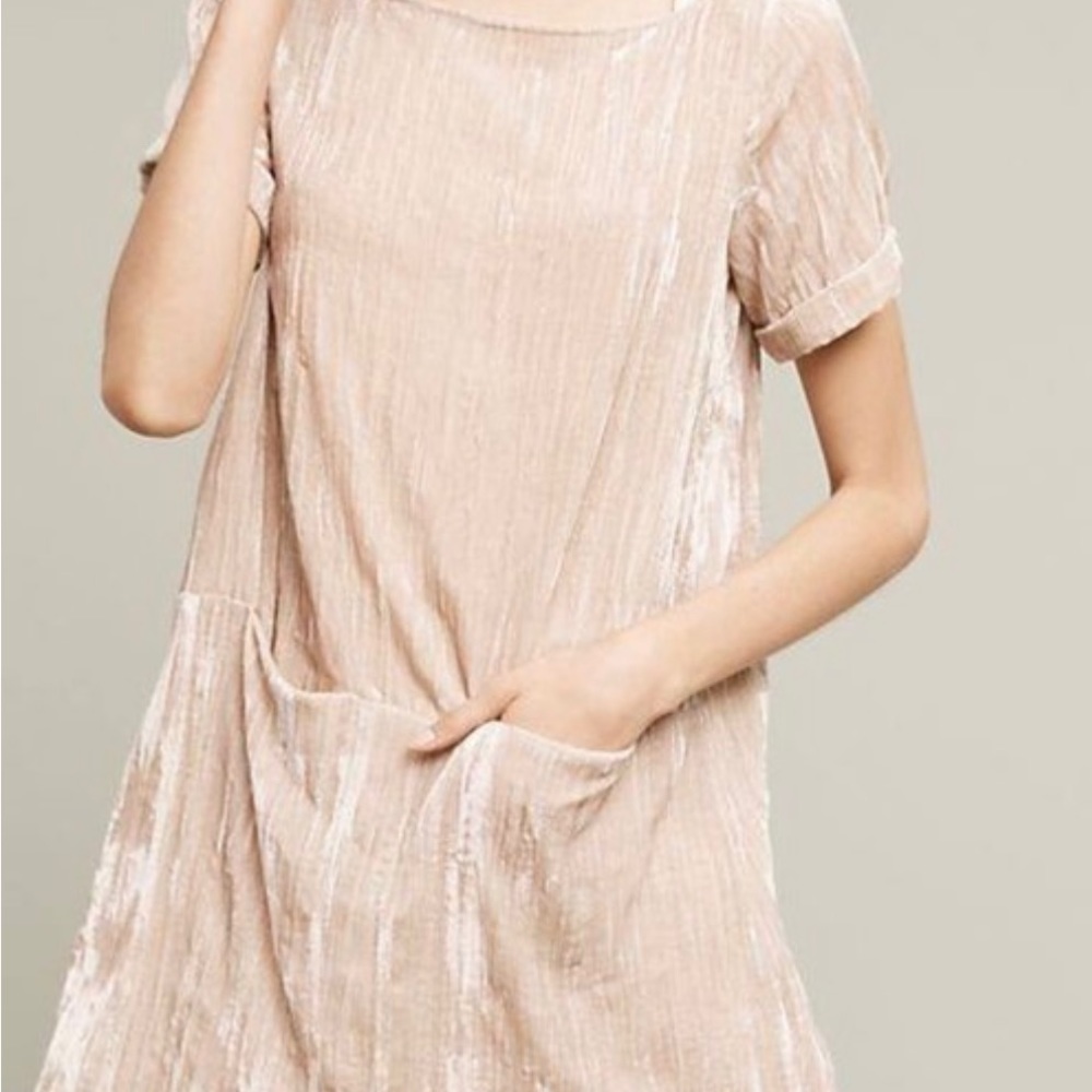 Floreat Crinkle Velvet Cocktail Dress - XS